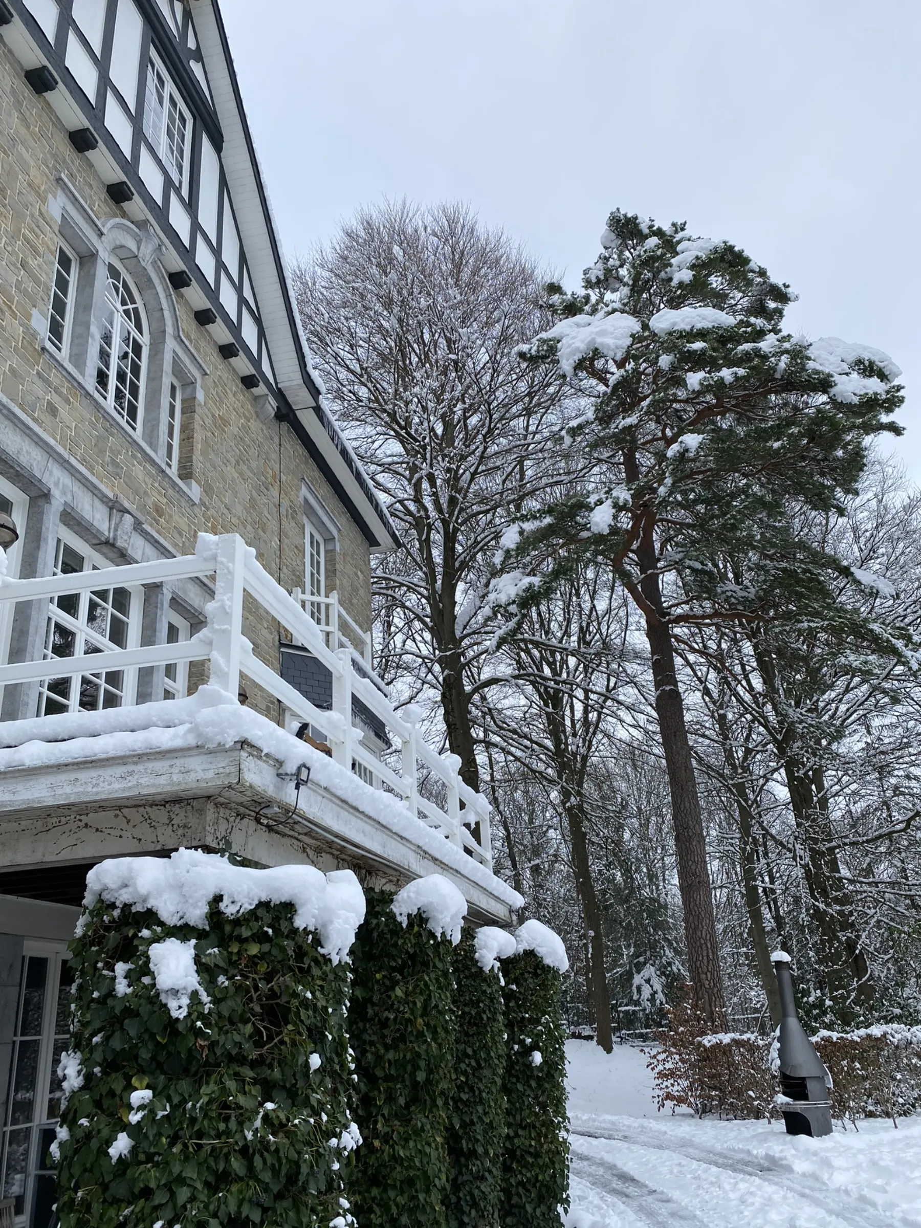 Le Soyeureux villa interior