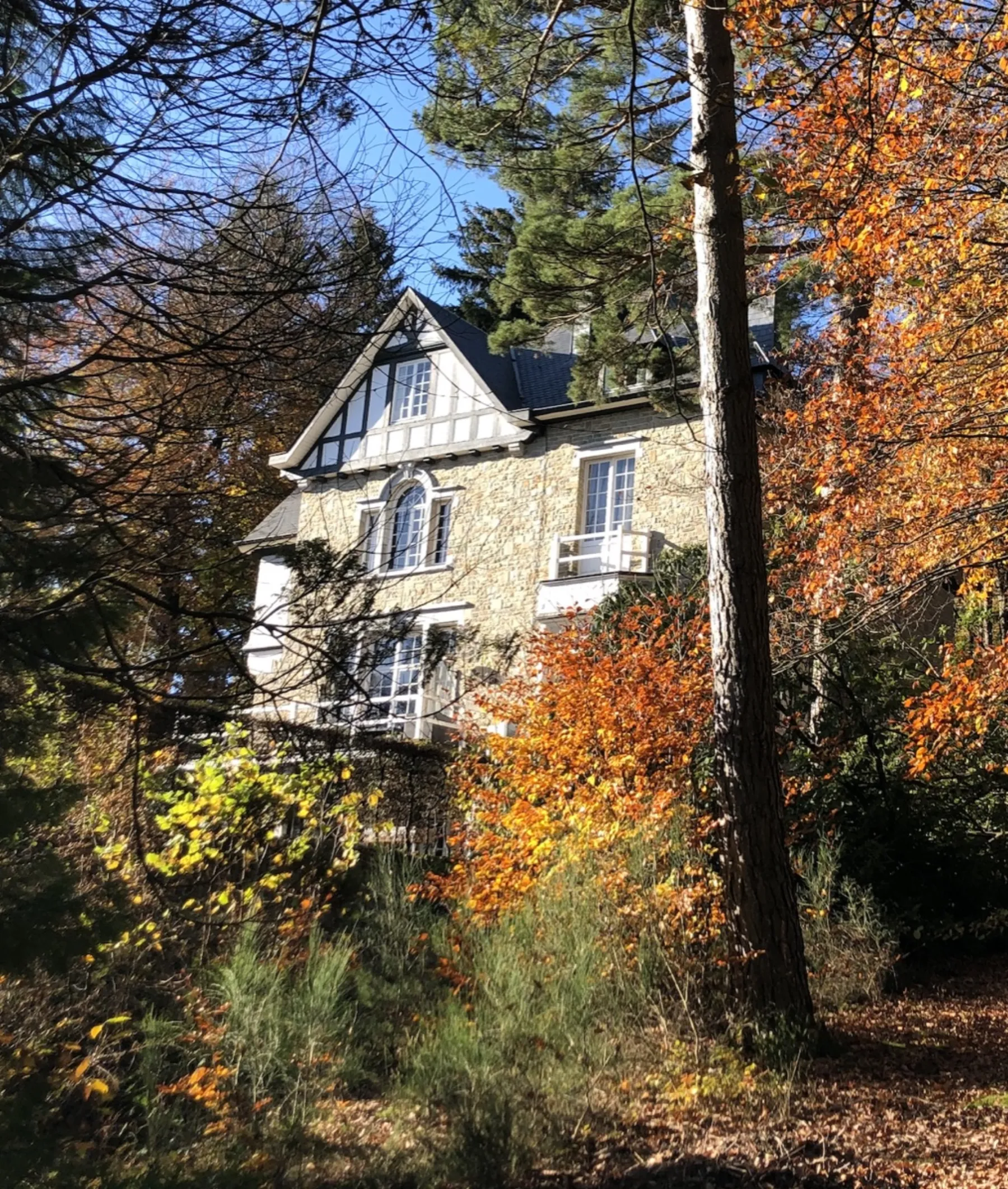Aerial view of the estate