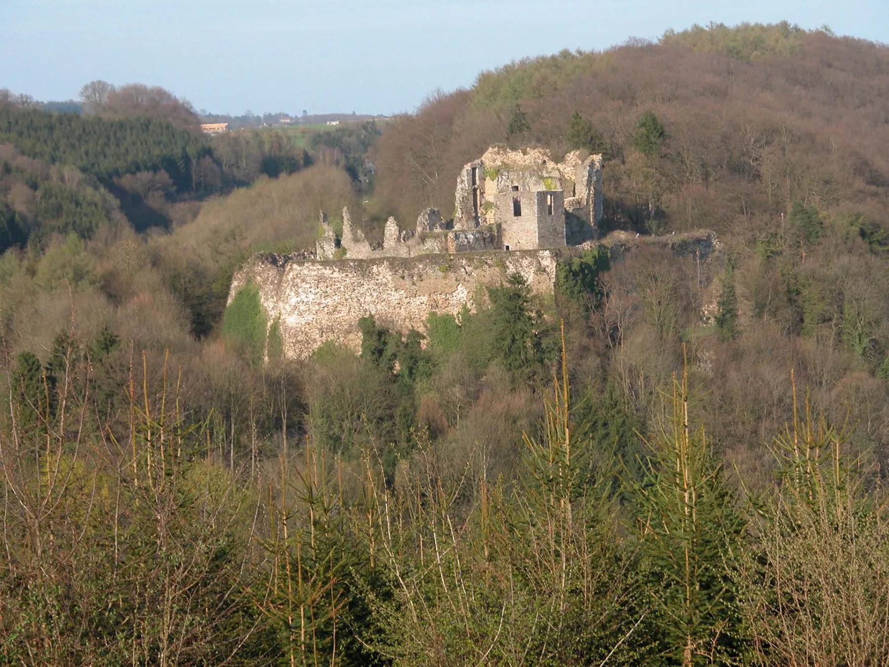 Chateau de Franchimont ruins rising above the Ardennes forest near Theux