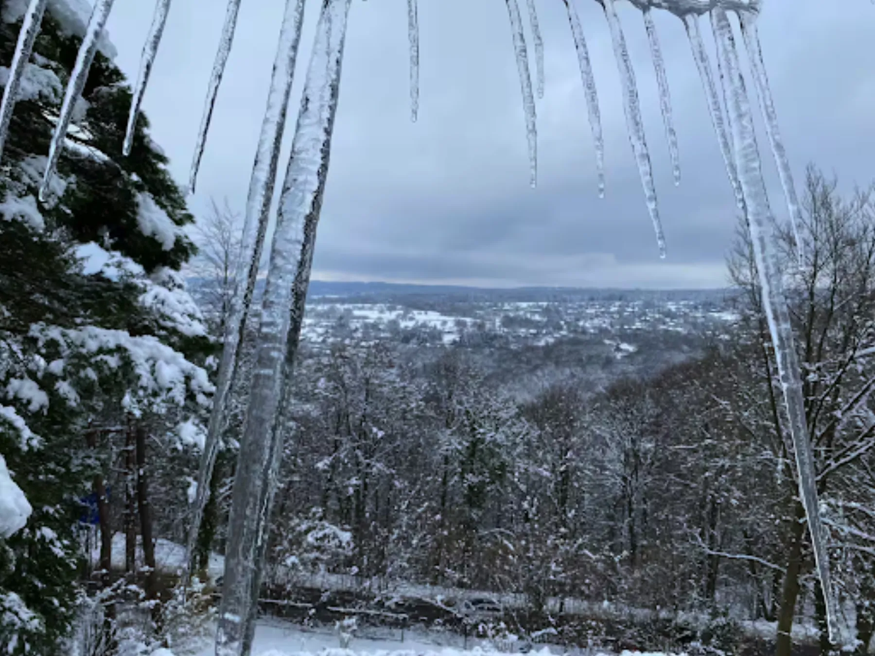 Snowy forest landscape in the Hautes Fagnes nature reserve